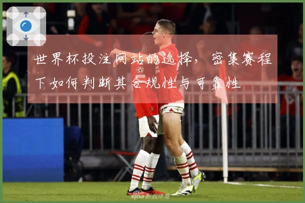 世界杯投注网站的选择，密集赛程下如何判断其合规性与可靠性