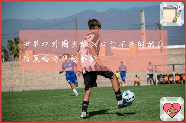 世界杯外围买球入口打不开时的应对策略与风险解析